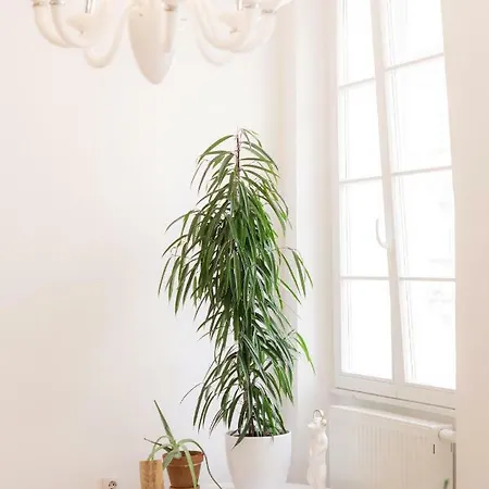 Gosposvetska Apartamento Liubliana