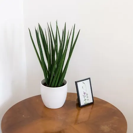 Apartmán Gosposvetska Lublaň